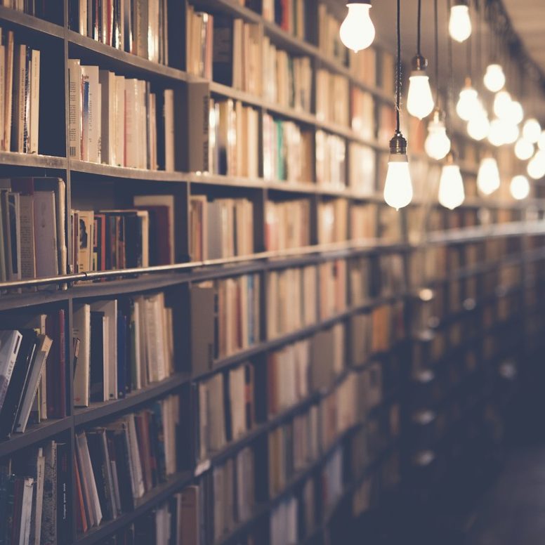 Estanterías de libros